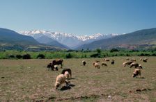 High Atlas, Morocco. Creator: Vivienne Sharp