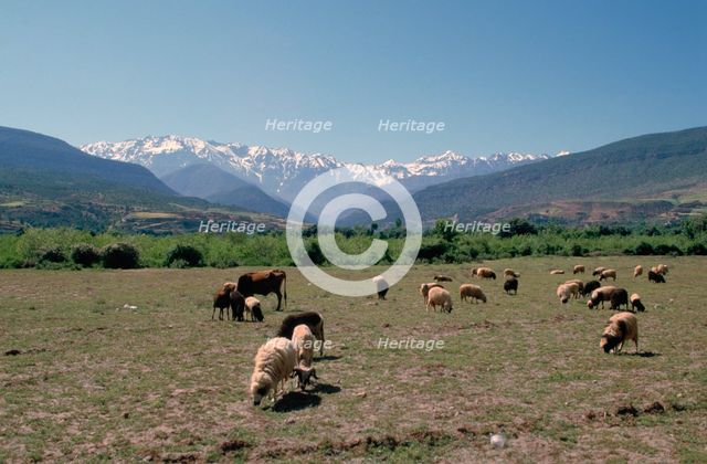 High Atlas, Morocco.  Creator: Vivienne Sharp.
