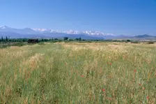 High Atlas Mountains from near Marakesh, Morocco. Creator: Vivienne Sharp