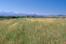 High Atlas Mountains from near Marakesh, Morocco. Creator: Vivienne Sharp