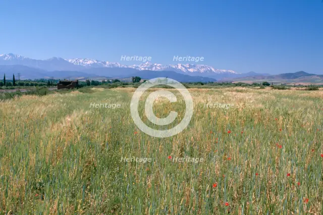 High Atlas Mountains from near Marakesh, Morocco.  Creator: Vivienne Sharp.