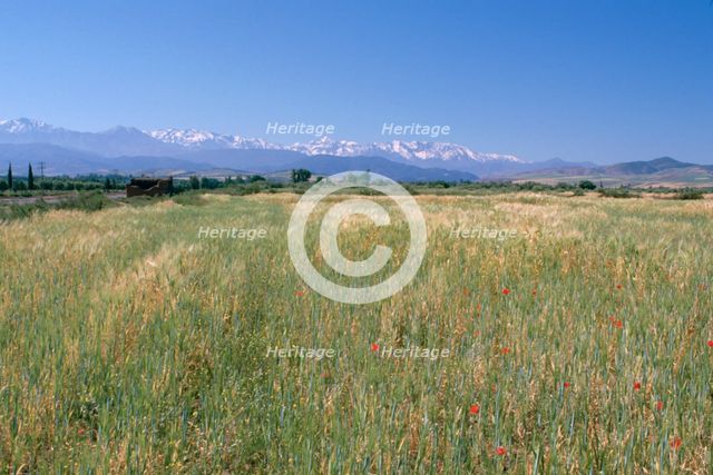 High Atlas Mountains from near Marakesh, Morocco.  Creator: Vivienne Sharp.