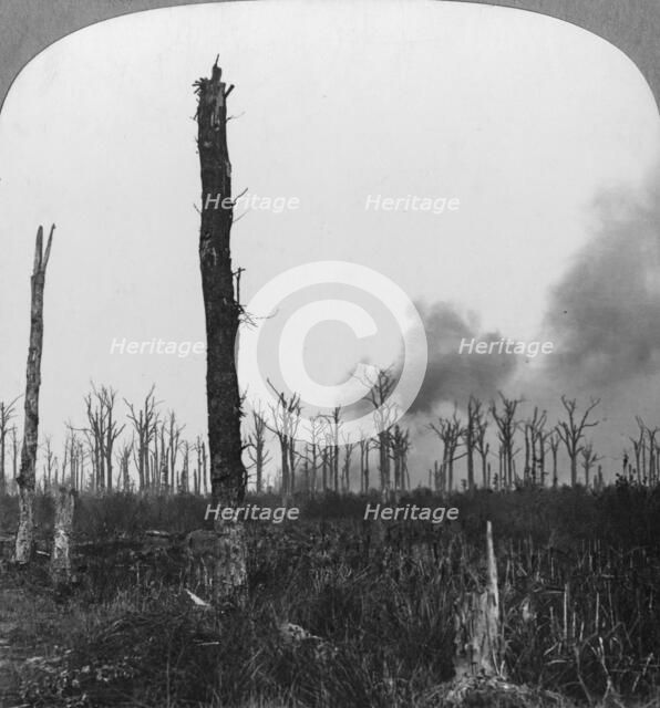 High explosive shells bursting in Mametz Wood, France, World War I, 1916. Artist: Realistic Travels Publishers