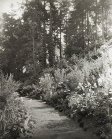 "High Hatch," Thomas Kerr garden, SW Military Lane, Portland, Oregon, 1923. Creator: Frances Benjamin Johnston