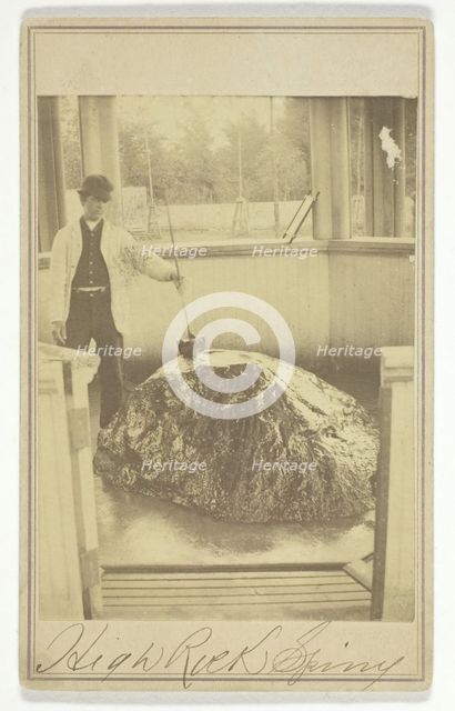 High Rock Spring, c. 1865. Creator: Deloss Barnum.