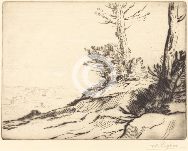 Hill with Bushes (La butte aux brousailles). Creator: Alphonse Legros.