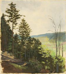 Hill with scrub, 1850-1900. Creator: Jan Nowopacký
