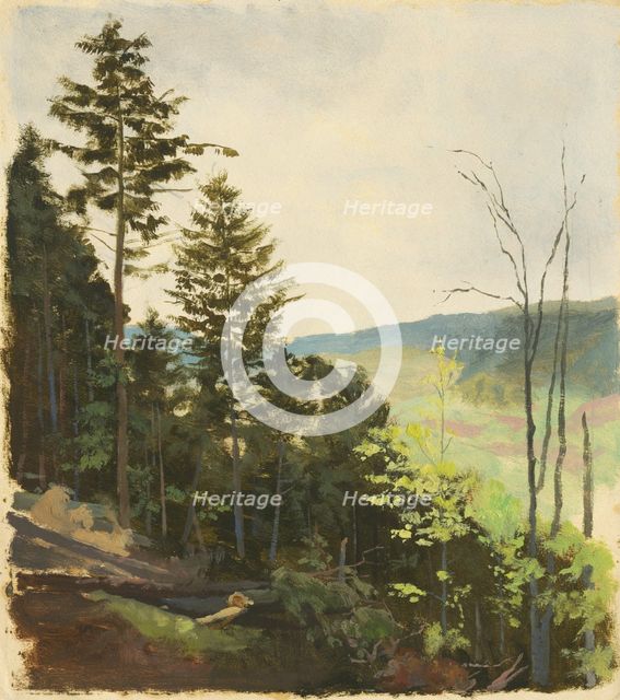 Hill with scrub, 1850-1900. Creator: Jan Nowopacký.
