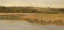 Hill and Marshland, late 19th-early 20th century. Creator: Max Weyl