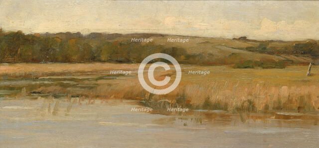 Hill and Marshland, late 19th-early 20th century. Creator: Max Weyl.