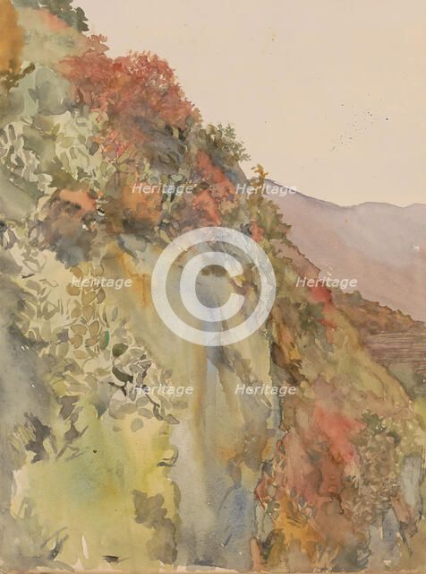 Hill covered with flowers and plants, 1865-1913. Creator: Abrahamina Arnolda Louisa Hubrecht.