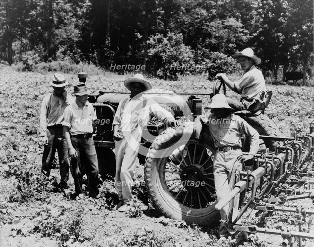 Hillhouse, Mississippi Delta cooperative farm, 1937. Creator: Dorothea Lange.