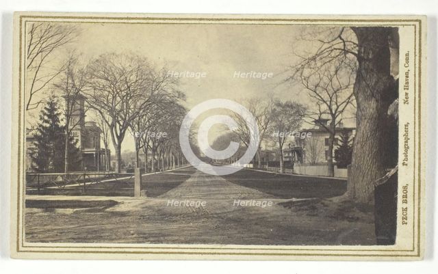 Hillhouse Avenue, 19th century.  Creator: Peck Brothers.