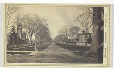 Hillhouse Avenue, 19th century. Creator: Peck Brothers