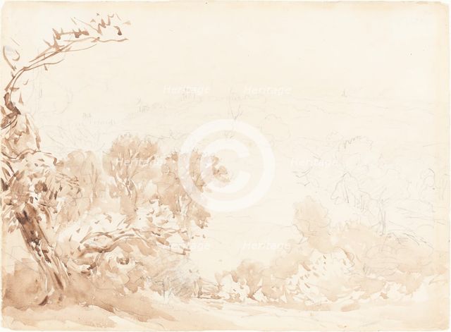 Hillside and Trees. Creators: David Cox, David Cox the elder.