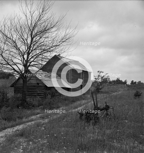 Hillside Farm road leading from sharecropper's house..., Person County, North Carolina, 1939. Creator: Dorothea Lange.