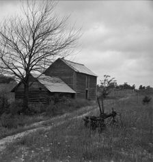 Hillside Farm road leading from sharecropper's house..., Person County, North Carolina, 1939. Creator: Dorothea Lange