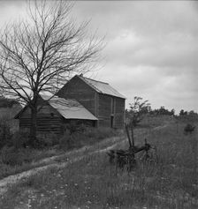 Hillside Farm road leading from sharecropper's house..., Person County, North Carolina, 1939. Creator: Dorothea Lange