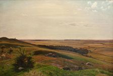 Hillside near Horsens, afternoon, 1858. Creator: Vilhelm Kyhn