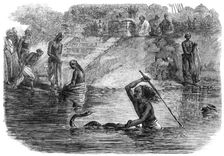 Hindoo bathers in the River Jumna surprised by a snake, 1864. Creator: J. A. B.