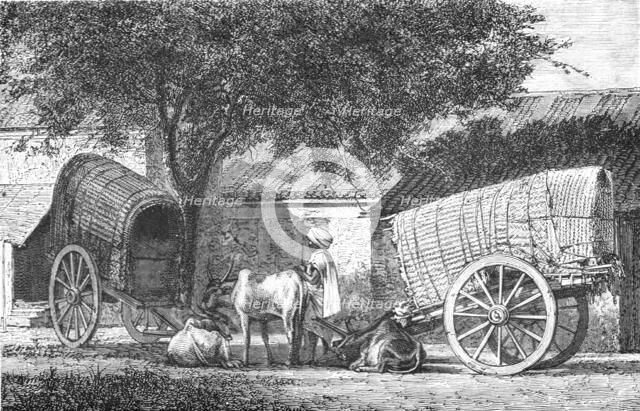 ''Hindoo Travelling Cars; Notes on the Indian Wolf, "Canis Pallipes."', 1875. Creator: Charles Horne.