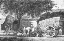 'Hindoo Travelling Cars; Notes on the Indian Wolf, "Canis Pallipes." 1875. Creator: Charles Horne