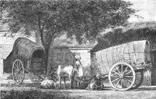'Hindoo Travelling Cars; Notes on the Indian Wolf, "Canis Pallipes." 1875. Creator: Charles Horne