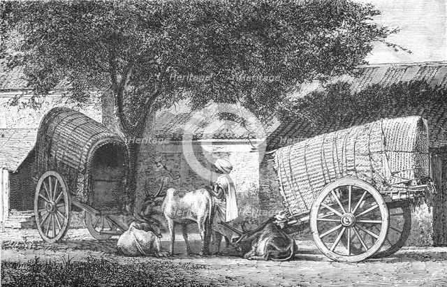 ''Hindoo Travelling Cars; Notes on the Indian Wolf, "Canis Pallipes."', 1875. Creator: Charles Horne.