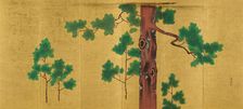 Hinoki Cypress Tree, unknown date, c1820-1850. Creator: Suzuki Kiitsu