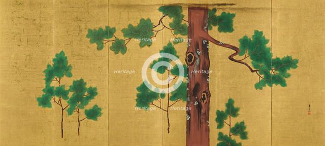 Hinoki Cypress Tree, unknown date, c1820-1850. Creator: Suzuki Kiitsu.