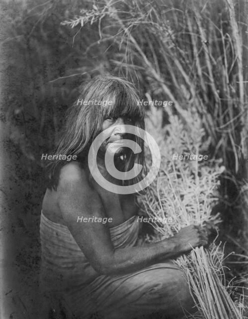 Hipah with Arrow-Brush-Maricopa, c1907. Creator: Edward Sheriff Curtis.