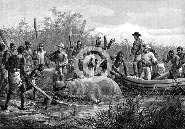 Hippopotamus hunting in Angola, West Africa, 1880. Creator: Unknown.