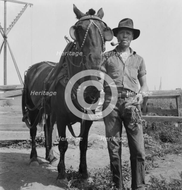 Hired man on the Myers farm, near Outlook, Yakima County, Washington, 1939. Creator: Dorothea Lange.