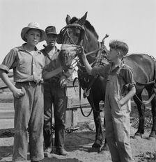 Hired man helps the farmers oldest boy on the Myers farm, Washington, Yakima County, 1939 Creator: Dorothea Lange