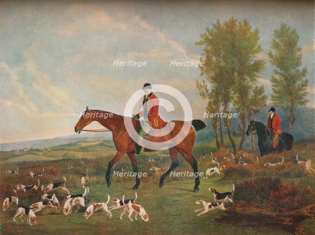 'His Majesty's Harriers', c19th century. Artist: Richard Woodman.