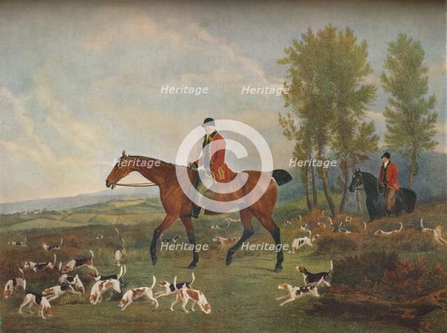 'His Majesty's Harriers', c19th century. Artist: Richard Woodman.