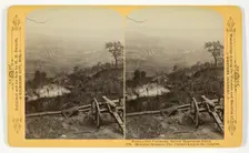 Historical Sycamore Tree, Orchard Knob in the distance, 1889. Creator: Henry Hamilton Bennett
