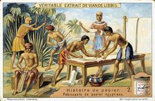 History of Paper: 2, c1900