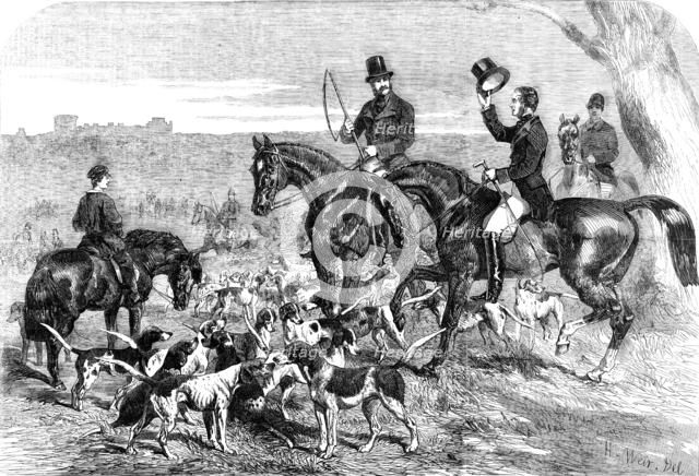 H.R.H. Prince Albert's Harriers, 1856.  Creator: Harrison Weir.