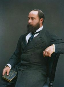 HRH the Prince of Wales, 1876. Creator: Lock & Whitfield