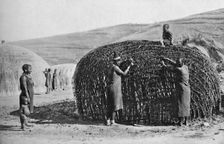 Hut building in Zululand, 1912