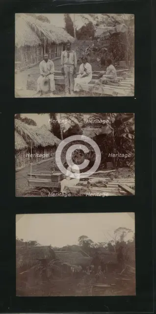 Huts at Coolies Lines Hill Bank, Belize, 1900.  Creator: Unknown.