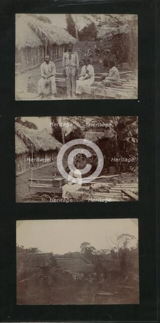 Huts at Coolies Lines Hill Bank, Belize, 1900.  Creator: Unknown.
