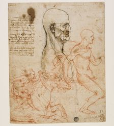 Human bust in profile with study of proportions, c. 1490-1499. Creator: Leonardo da Vinci (1452-1519)