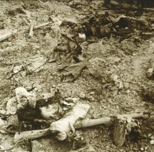 Human remains, Verdun, northern France, c1914-c1918