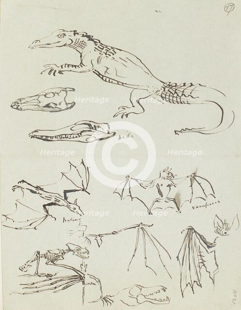 Humorous sketches of crocodiles and bats, c1870s. Creator: Henry Hugh Armstead.