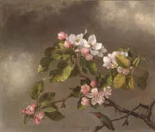 Hummingbird and Apple Blossoms, 1875. Creator: Martin Johnson Heade
