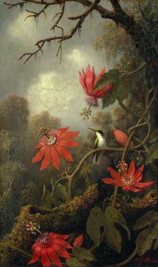 Hummingbird and Passionflowers, ca. 1875-85. Creator: Martin Johnson Heade