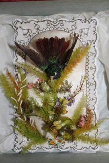 Hummingbird Valentine, 1845/1869. Creator: Jonathan King