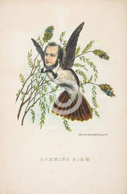 Humming Bird (Thomas B. Florence), from The Comic Natural History of the Human Race, 1851. Creators: Henry Louis Stephens, L. Rosenthal.